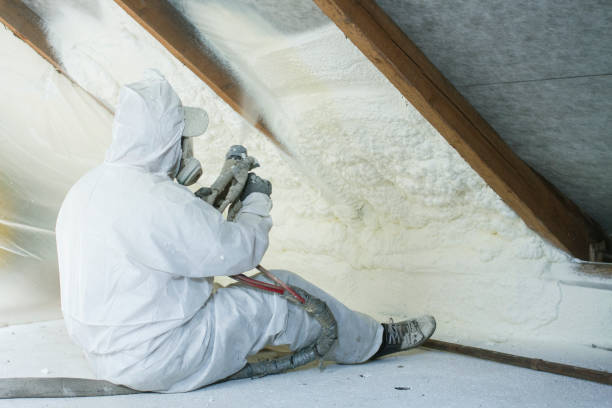 Types of Insulation We Offer in Waikapu, HI